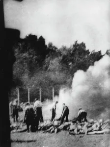 Shoa: Cremation in Auschwitz - Secret photograph
