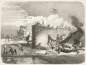 Cremation: CREMATION AT CALCUTTA