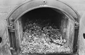 Anti Semitic: Cremation oven at the Lublin/Majdanek Concentration
