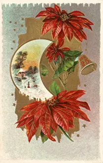 Poinsettias: Crescent Moon Inset