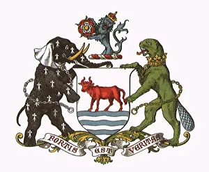 Rampant: Crest with Elephant