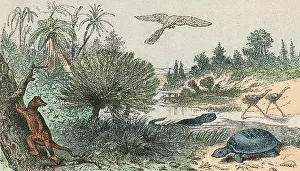 Scape: CRETACEOUS L'SCAPE