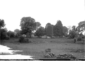 Stump: Crevenish Castle Co. Fermanagh