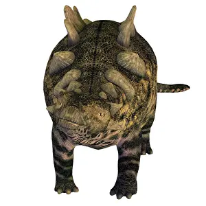 Ankylosaur: Crichtonsaurus armored dinosaur