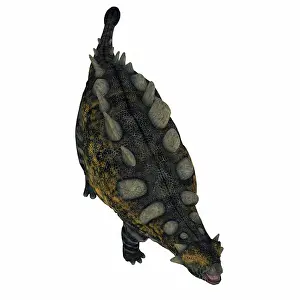 Overhead: Crichtonsaurus armored dinosaur, overhead view