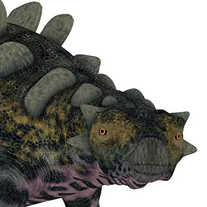 Osteoderm: Crichtonsaurus dinosaur head