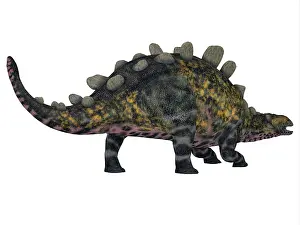 Osteoderm: Crichtonsaurus dinosaur, white background