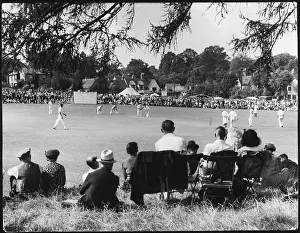 Sward: CRICKET AT BEARSTEAD
