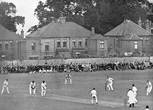 Hobbs: Cricket at Blackheath
