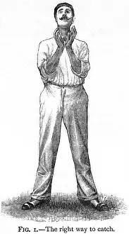 Correct: Cricket Catching