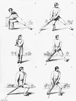 Batsmen: Cricket Felix on the bat