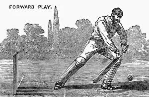Stumps: Cricket Forward Play Shot