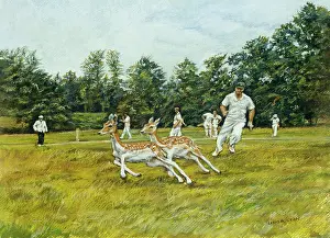 Sevenoaks: Cricket at Knole Park, Sevenoaks