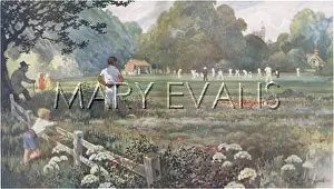 Alfred Bestall (iln): Cricket match by Alfred Bestall