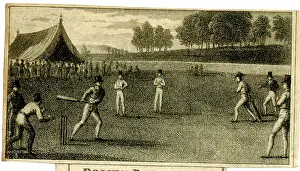 Pitch: Cricket match in progress
