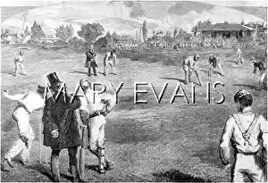 Illustre: CRICKET/MONDE ILLUSTRE