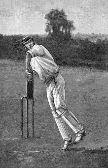 Stumps: Cricket Back Play Shot