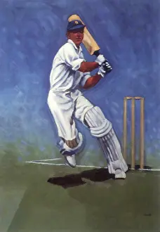 Recreational: Cricket Player