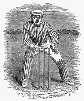 Correct: Cricket The Wicket Keeper