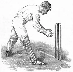 Stumps: Cricket Wicket Keeping