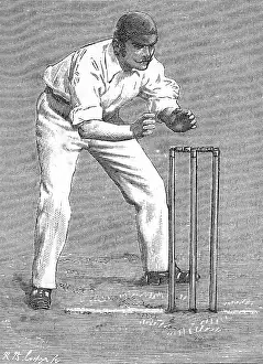 Correct: Cricket Wicket Keeping