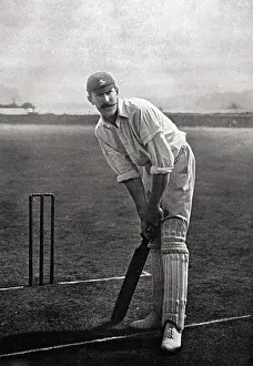 Marchant: CRICKETER, MARCHANT