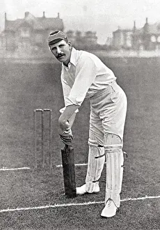 Tindall: CRICKETER, TINDALL