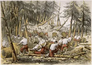 Fasces: CRIMEA FRENCH TROOPS