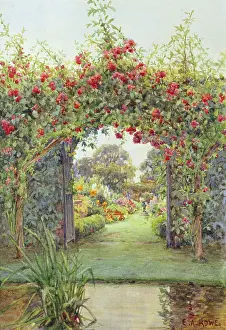 Marlowe: Crimson Rambler, Harleyford Manor, Marlowe