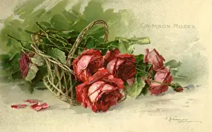 Crimson: Crimson Roses in a Woven Basket