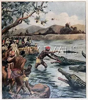 Enchanter: CROCODILE ENCHANTER