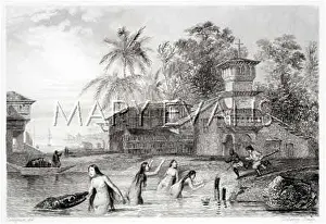 Guayaquil: CROCODILE AT GUAYAQUIL