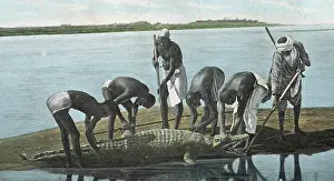 Sudan: Crocodile Hunt on the River Nile, Sudan