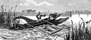 Crocodiles: Crocodile hunting, 1881