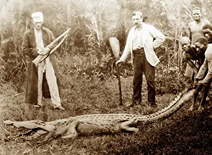Crocodile hunting, Africa