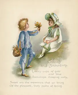 Personified: Crocus & Snowdrop / Language of Flowers