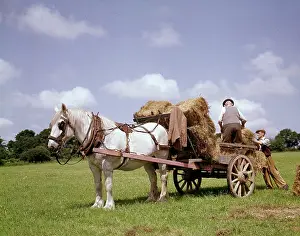 Crofter: Crofters with horse and cart, Barra, Outer Hebrides