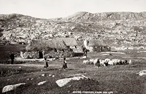Crofters with sheep, Barra, Outer Hebrides, Scotland