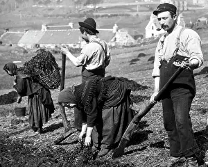 Skye: Crofters using a cas chrom to dig peat Victorian period