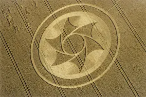 Lucy Pringle: Crop circle