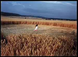 Alton: CROP CIRCLE ALTON BARNES