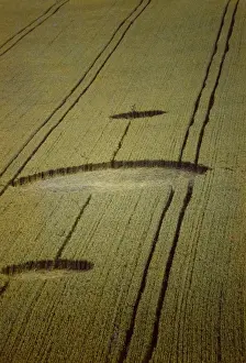 Quintuplet: Crop circles, part of a Quintuplet