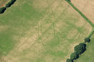 Cropmark: Crop marks of a probable Prehistoric or Roman