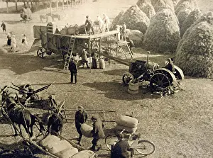 Kolkhoz: Crop threshing in the kolkhoz