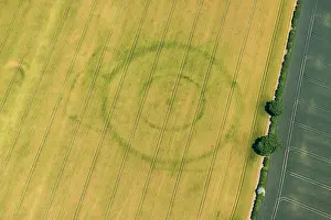 Enclosures: Cropmarks - Neolithic henge and enclosures - Paddock Hill