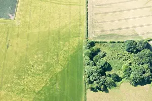 Cropmark: The cropmarks of four squares indicate the distinctive