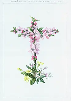 Almond: Cross of Almond Blossom