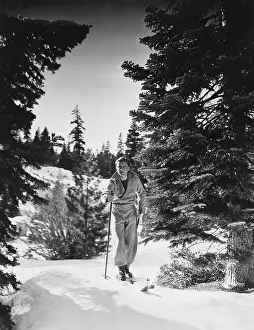 Evergreens: CROSS COUNTRY