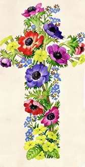 Nots: Cross of forget-me-nots and primroses