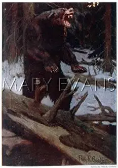 Grizzly: CROSS GRIZZLY BEAR